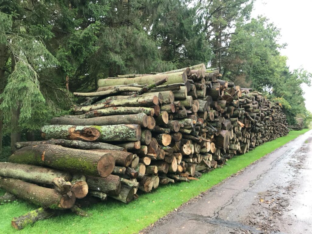 Kingston Wood Timber Pile